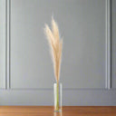 Shades 4 Seasons Pampas Grass Stem for Elegant Decor WHITE PLASTIC Shades 4 Seasons