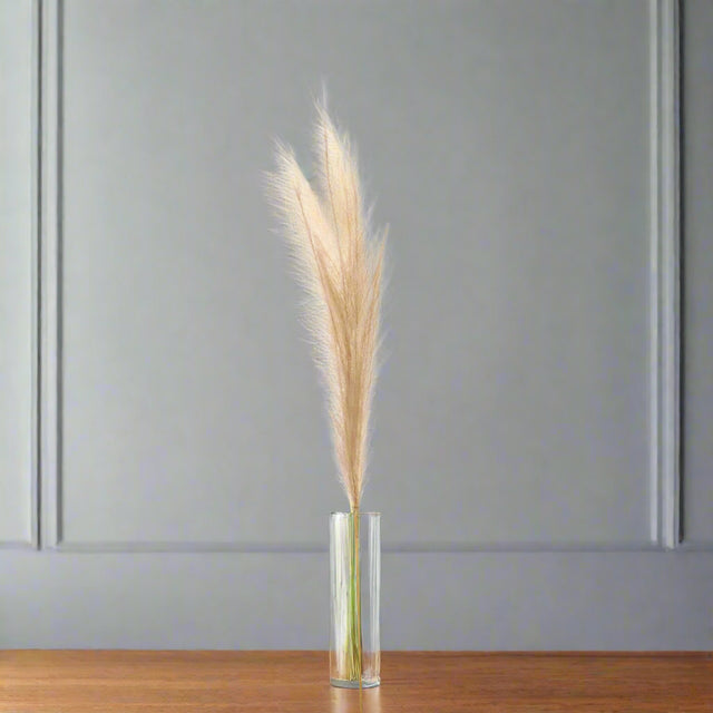 Shades 4 Seasons Pampas Grass Stem for Elegant Decor WHITE PLASTIC Shades 4 Seasons