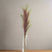 Shades 4 Seasons Pampas Grass Stem - Elegant Decor BROWN PLASTIC Shades 4 Seasons