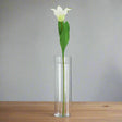 The Natural Garden Collection White Parrot Tulip PLASTIC Shades 4 Seasons