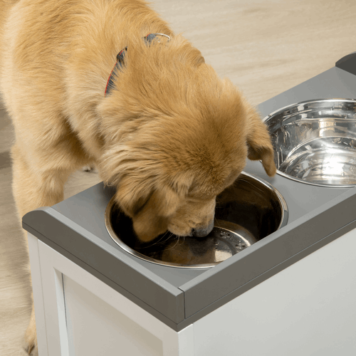 Elevated Dog Bowls With 21L Storage Drawer for Large Dogs and Cats - White PawHut