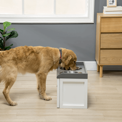 Elevated Dog Bowls With 21L Storage Drawer for Large Dogs and Cats - White PawHut