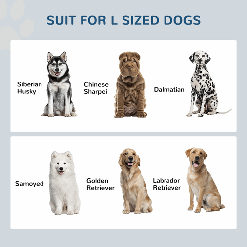 Elevated Dog Bowls With 21L Storage Drawer for Large Dogs and Cats - White PawHut