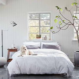 Cotton Collective White Sheet Set for Stylish Bedrooms Cotton Collective