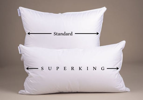 PillowPillow Standard and Superking pillows displaying size differences for optimum comfort