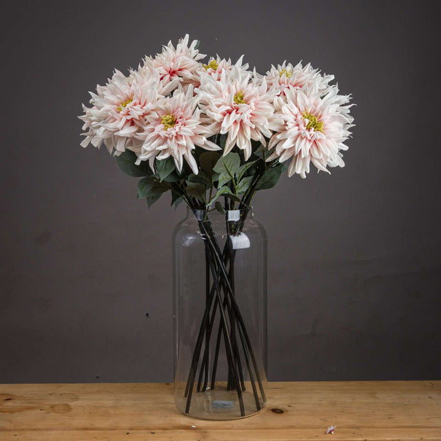 Shades 4 Seasons Pink Dahlia Single Stem Flower PINK Shades 4 Seasons
