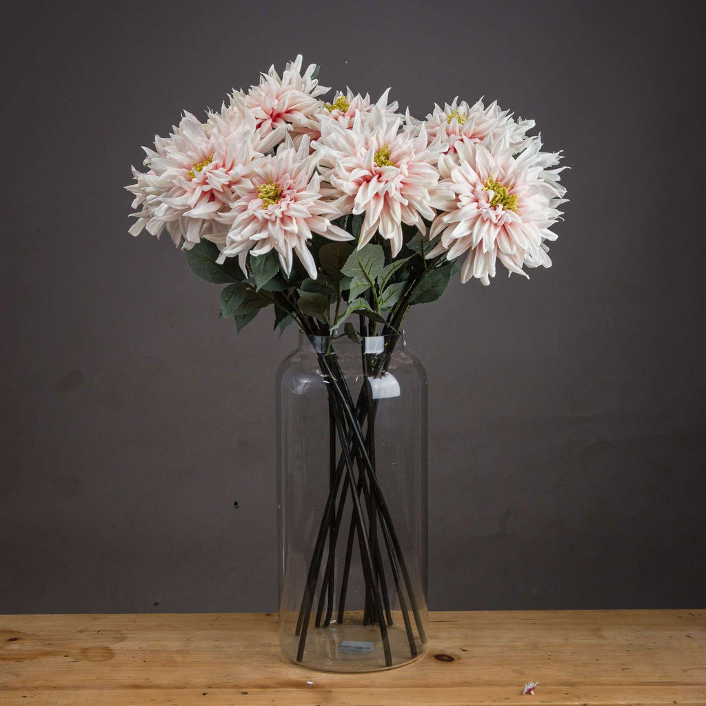 Shades 4 Seasons Pink Dahlia Single Stem Flower PINK Shades 4 Seasons