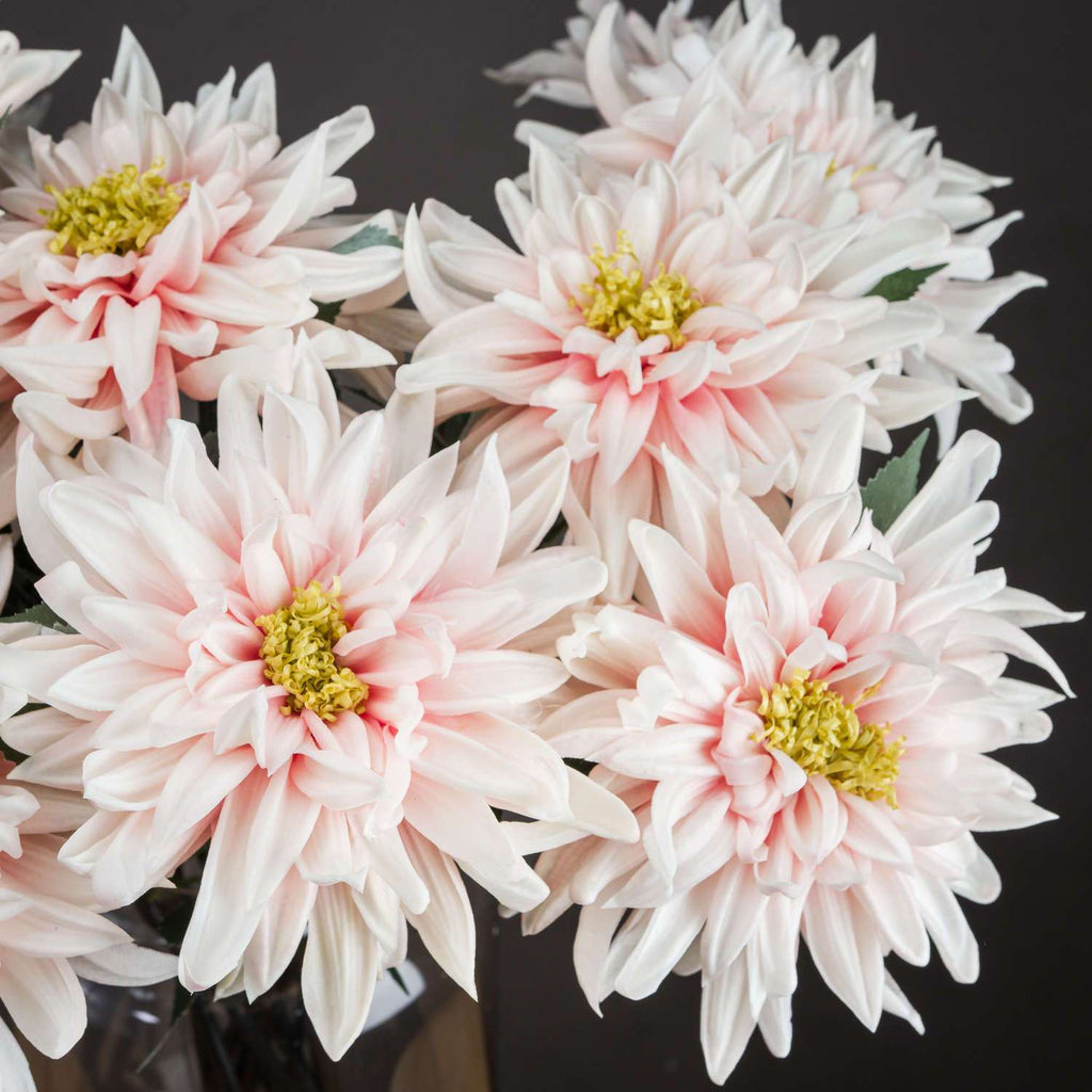Shades 4 Seasons Pink Dahlia Single Stem Flower Shades 4 Seasons