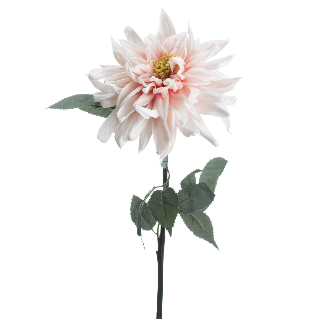 Shades 4 Seasons Pink Dahlia Single Stem Flower Shades 4 Seasons