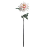 Shades 4 Seasons Pink Dahlia Single Stem Flower Shades 4 Seasons