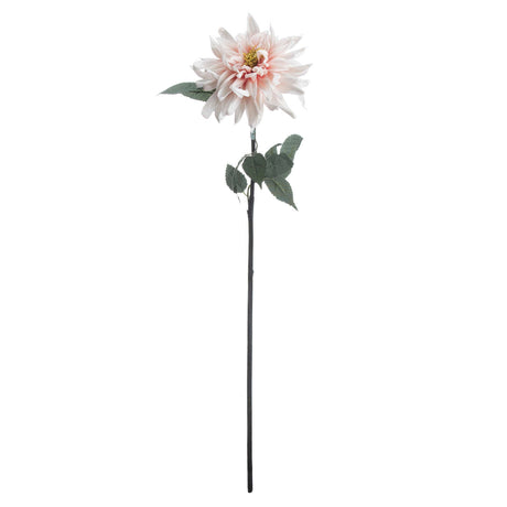 Shades 4 Seasons Pink Dahlia Single Stem Flower Shades 4 Seasons
