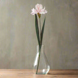 The Natural Garden Collection Pale Pink Fringed Iris PLASTIC Shades 4 Seasons