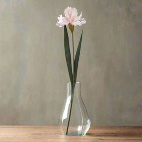 The Natural Garden Collection Pale Pink Fringed Iris PLASTIC Shades 4 Seasons