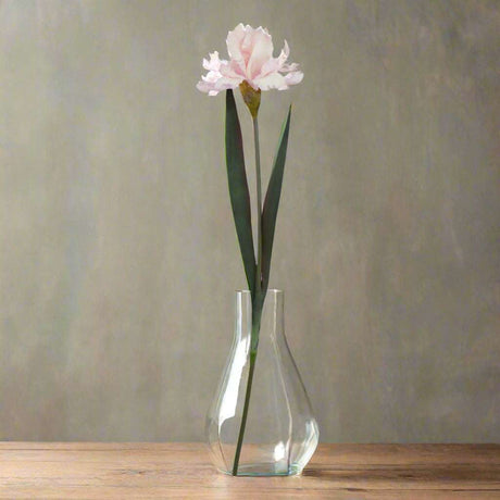 The Natural Garden Collection Pale Pink Fringed Iris PLASTIC Shades 4 Seasons