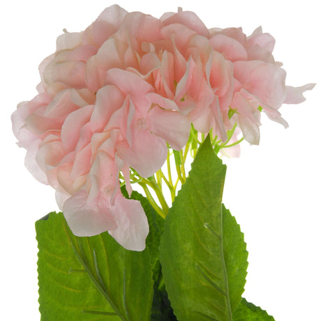 Shades 4 Seasons Pink Hydrangea Single Stem Flower Shades 4 Seasons
