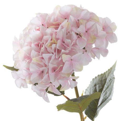 Shades 4 Seasons Pink Hydrangea Single Stem Flower PINK PLASTIC Shades 4 Seasons