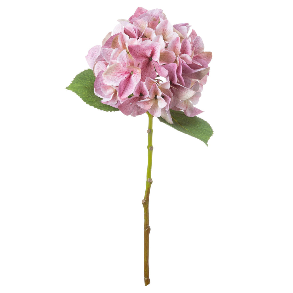 Shades 4 Seasons Pink Hydrangea Single Stem Flower Shades 4 Seasons