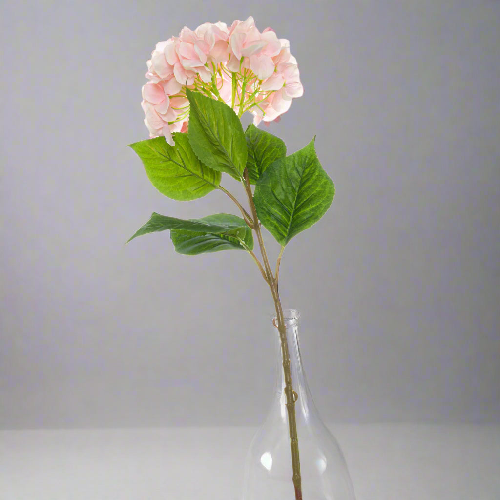 Shades 4 Seasons Pink Hydrangea Single Stem Flower PINK Shades 4 Seasons