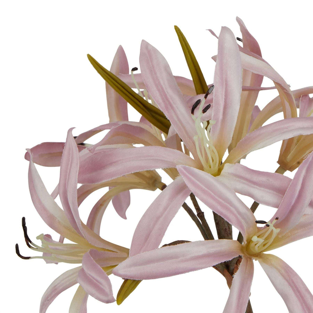 The Natural Garden Collection Pink Lily Stem Shades 4 Seasons