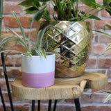 Set of 3 Gamal Wood Plant Stands - Natural AW Dropship UK