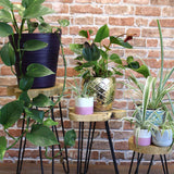 Set of 3 Gamal Wood Plant Stands - Natural AW Dropship UK