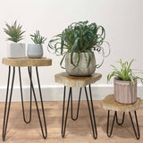 Set of 3 Gamal Wood Plant Stands - Whitewash AW Dropship UK