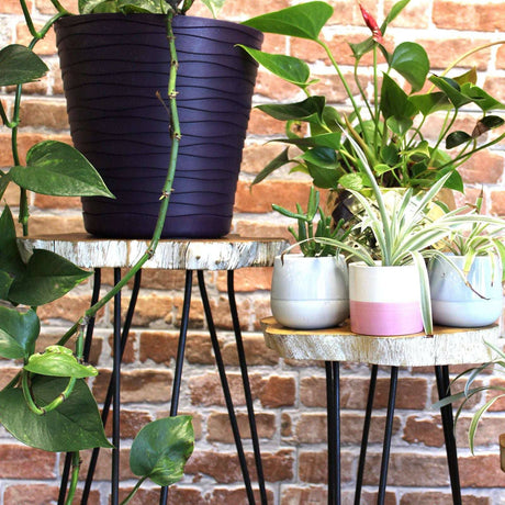 Set of 3 Gamal Wood Plant Stands - Whitewash AW Dropship UK