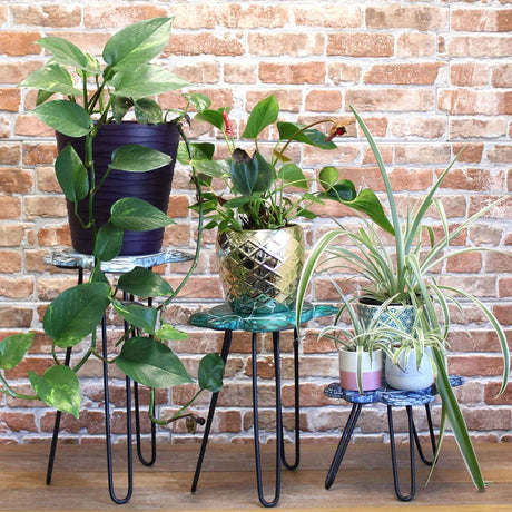 wooden plant stands indoor uk Set of 3 Whitewash Gamal Wood Plant Stands Elegant