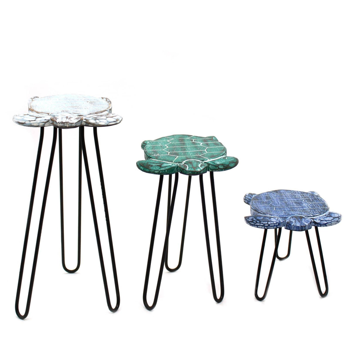 Set of 3 Albasia Wood Plant Stands - Turtles AW Dropship UK