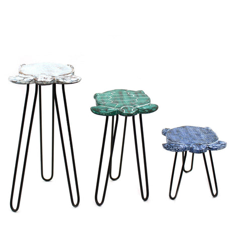 Set of 3 Albasia Wood Plant Stands - Turtles AW Dropship UK