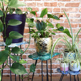 Set of 3 Gamal Wood Plant Stands - Natural AW Dropship UK