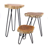 Set of 3 Gamal Wood Plant Stands - Whitewash AW Dropship UK