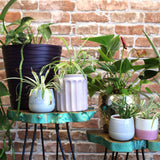 Set of 3 Gamal Wood Plant Stands - Greenwash AW Dropship UK