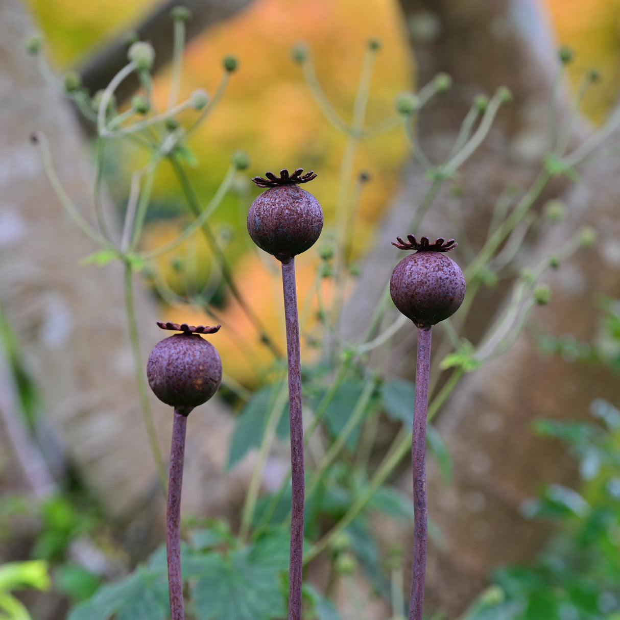 Poppy Seedhead metal garden flower sculpture with three stems, perfect for garden decoration