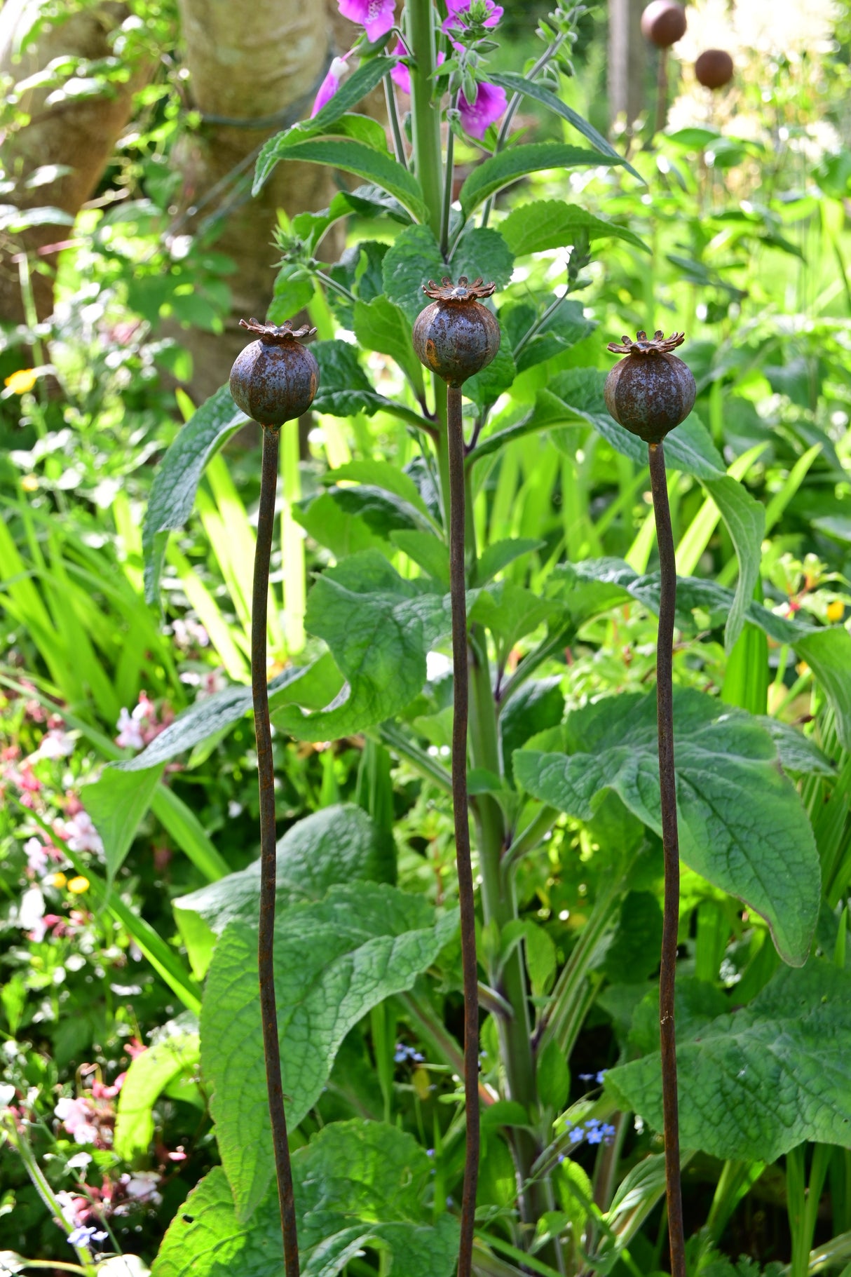 Metal Poppy Seedhead garden decoration with tall stems, enhancing outdoor floral arrangements