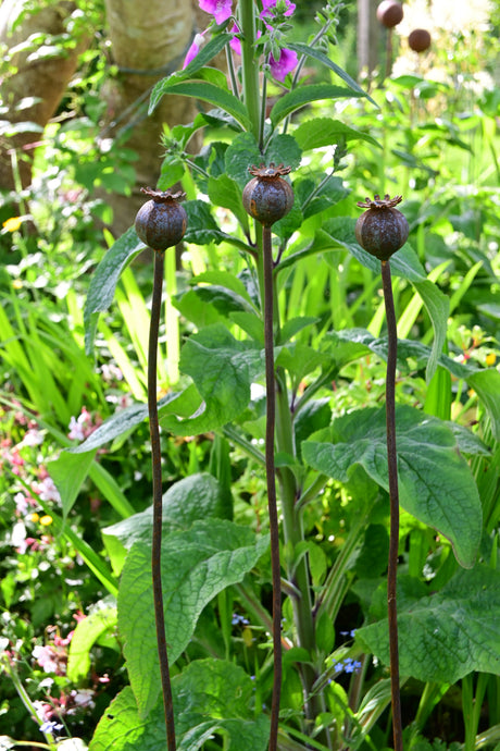 Metal Poppy Seedhead garden decoration with tall stems, enhancing outdoor floral arrangements