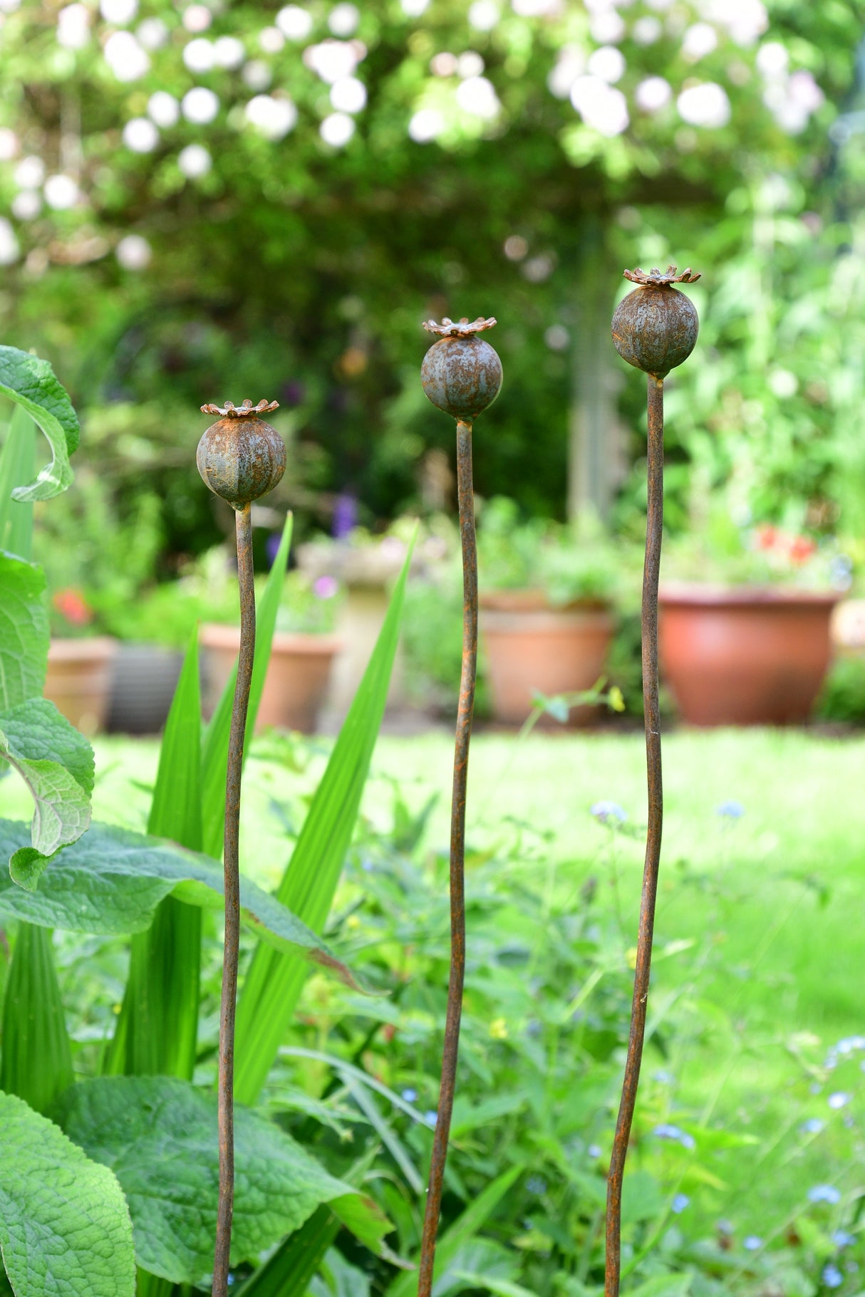 Metal garden Poppy Seedhead decoration with three tall stems for vibrant outdoor spaces