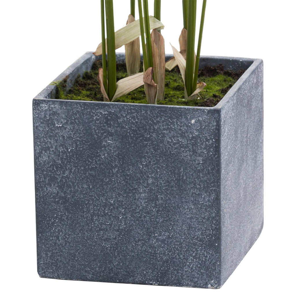 Shades 4 Seasons Realistic Potted Palm Indoor Plant Shades 4 Seasons