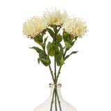 Shades 4 Seasons Protea Lorea Stem for Home Decor Shades 4 Seasons