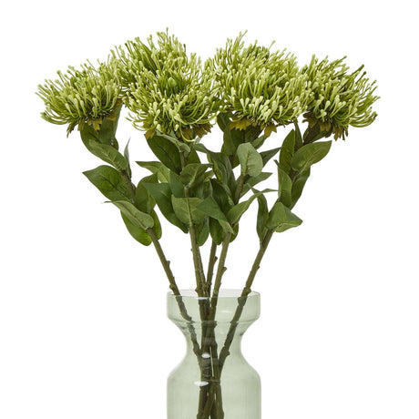 Shades 4 Seasons Protea Lorea Stem - Stylish Home Accessory Shades 4 Seasons