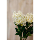 Shades 4 Seasons Protea Lorea Stem for Home Decor Shades 4 Seasons