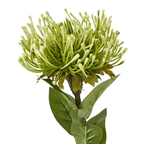 Shades 4 Seasons Protea Lorea Stem - Stylish Home Accessory Shades 4 Seasons