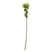 Shades 4 Seasons Protea Lorea Stem - Stylish Home Accessory GREEN PLASTIC Shades 4 Seasons
