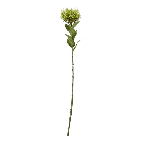 Shades 4 Seasons Protea Lorea Stem - Stylish Home Accessory GREEN PLASTIC Shades 4 Seasons