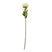 Shades 4 Seasons Protea Lorea Stem for Home Decor CREAM PLASTIC Shades 4 Seasons