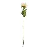 Shades 4 Seasons Protea Lorea Stem for Home Decor CREAM PLASTIC Shades 4 Seasons