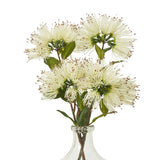 Shades 4 Seasons Protea Nitida Spray for Elegant Decor Shades 4 Seasons