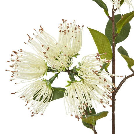 Shades 4 Seasons Protea Nitida Spray for Elegant Decor Shades 4 Seasons
