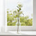 Shades 4 Seasons Protea Nitida Spray for Elegant Decor CREAM PLASTIC Shades 4 Seasons