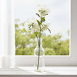 Shades 4 Seasons Protea Nitida Spray for Elegant Decor CREAM PLASTIC Shades 4 Seasons